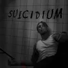 About Suicidium Song