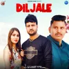 About Diljale Song