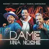 About Dame una Noche Song