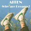 Why Are Dreams?