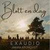 Blott en dag