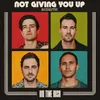 About Not Giving You Up Acoustic Song