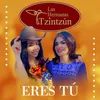 About Eres Tú Song