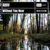 About Without You Near Song