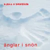 About Änglar i snön Song