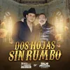 DOS HOJAS SIN RUMBO