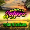 About Yo No Sé Mañana Song