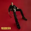 About MARICON Song