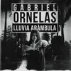 About Gabriel Ornelas Song