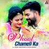 About Phool Chameli Ka Song