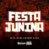 About Festa Junina Song