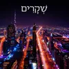About שקרים Song