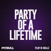 About Party of a Lifetime Song