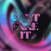 About Can't Fake It Song