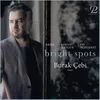 Bright Spots Suite for Piano: IV. Euphoria