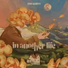 About Another Life Song