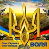 About Воля Song