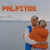 About Pálpitos Song