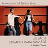 Organ Sonata No. 4 in E Minor, BWV 528 (Arr. for two guitars by Roxane Elfasci): I. Adagio-Vivace