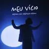 About Meu Vício Song