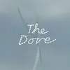 About The Dove Song