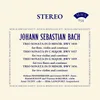 Trio Sonata In G Major, BWV 1038: IV. Presto possibly completed by C.P.E. Bach