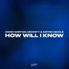 About How Will I Know Song