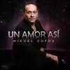 About Un Amor Así Song