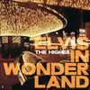 About Elvis in Wonderland Song