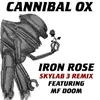 Iron Rose-Skylab 3 Remix