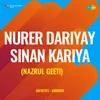 Nurer Dariyay Sinan Kariya