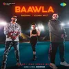 About Baawla Song