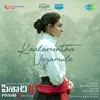 About Kaalamentha Vegamule Song