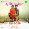 About Hey Pilla Nee Kosam Song