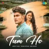 About Tum Ho Song