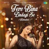 About Tere Bina Zindagi Se - Reloaded Song