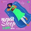 Bhet Tujhi Majhi Smarate - Lofi