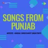 About Har Har Tera Nam Hai Song