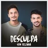 About Desculpa Song