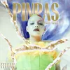 About Pinpas Song