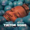 About TikTok Song Song