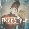 About Freestyle Song