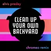 About Clean Up Your Own Backyard Chromeo Remix Song