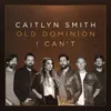 About I Can't (feat. Old Dominion) Song