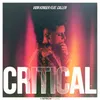 About Critical Song