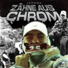 About Zähne aus Chrom Song