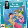 072 - Kuss der Meerjungfrau (Inhaltsangabe)