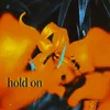 About Hold On Song