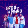 About Pedacinho Ao Vivo Song