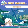 Les requins : Les ancêtres des requins